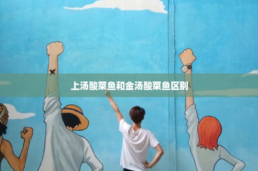 上汤酸菜鱼和金汤酸菜鱼区别
