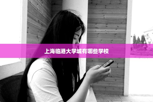 上海临港大学城有哪些学校