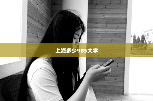 上海多少985大学