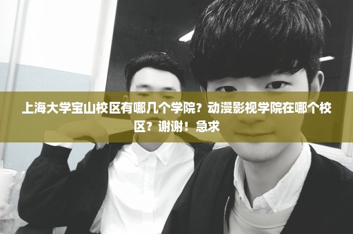 上海大学宝山校区有哪几个学院？动漫影视学院在哪个校区？谢谢！急求