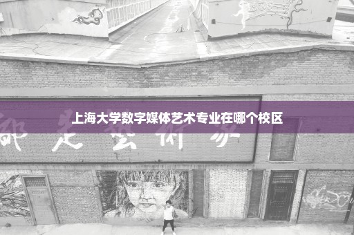 上海大学数字媒体艺术专业在哪个校区