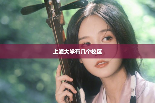 上海大学有几个校区