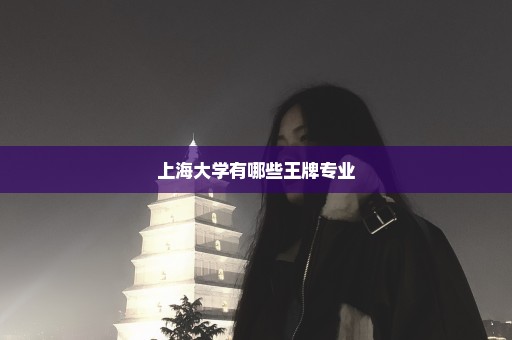 上海大学有哪些王牌专业