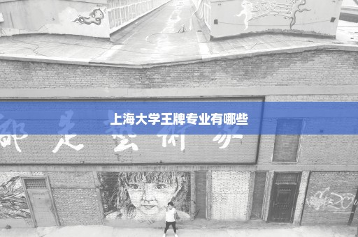上海大学王牌专业有哪些