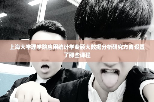 上海大学理学院应用统计学专硕大数据分析研究方向设置了那些课程