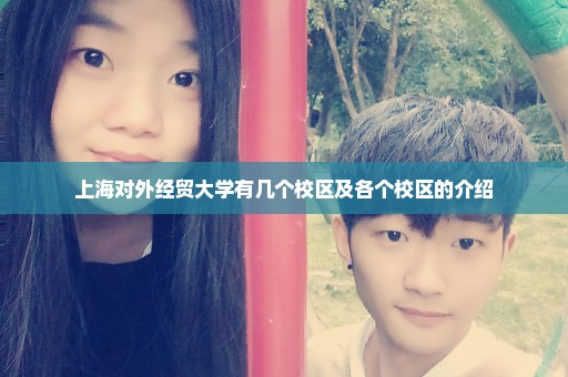 上海对外经贸大学有几个校区及各个校区的介绍