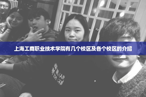 上海工商职业技术学院有几个校区及各个校区的介绍