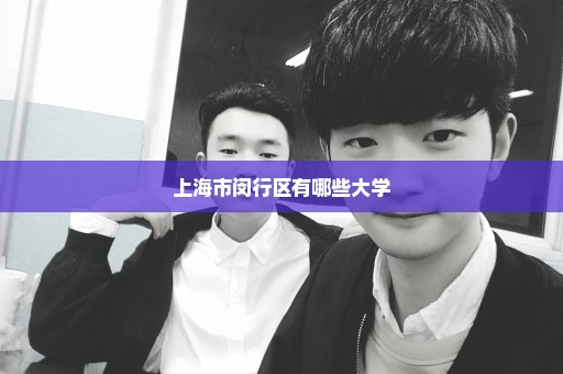 上海市闵行区有哪些大学