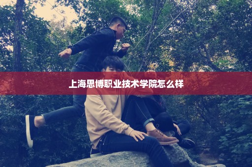 上海思博职业技术学院怎么样