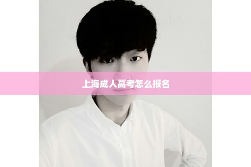 上海成人高考怎么报名