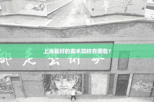 上海最好的美术院校有哪些？