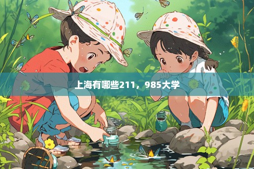 上海有哪些211，985大学