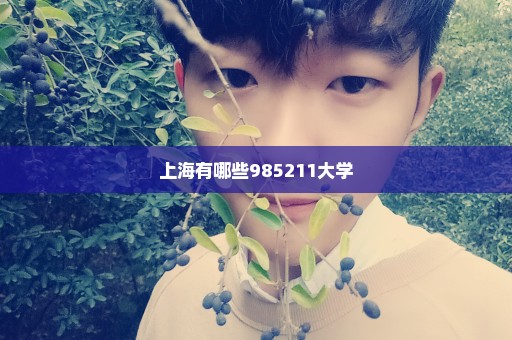 上海有哪些985211大学