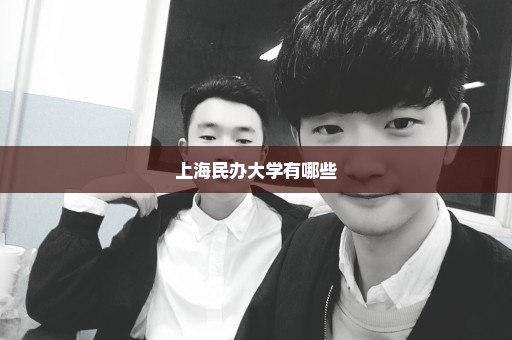 上海民办大学有哪些