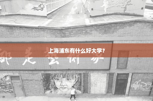 上海浦东有什么好大学？
