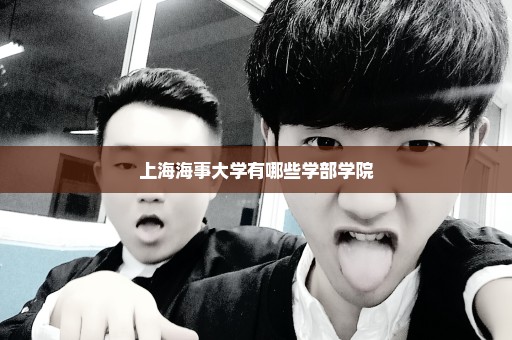上海海事大学有哪些学部学院