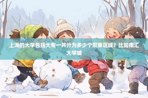 上海的大学包括大专一共分为多少个聚集区域？比如南汇大学城