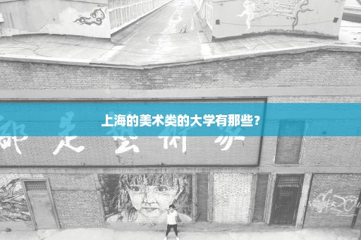 上海的美术类的大学有那些？