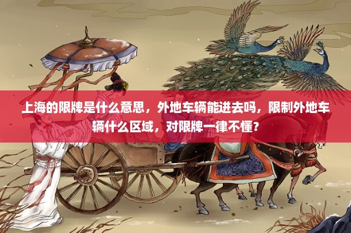 上海的限牌是什么意思，外地车辆能进去吗，限制外地车辆什么区域，对限牌一律不懂？