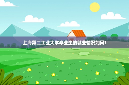 上海第二工业大学毕业生的就业情况如何?