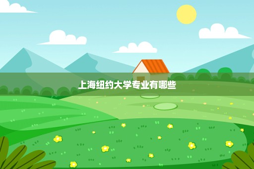 上海纽约大学专业有哪些