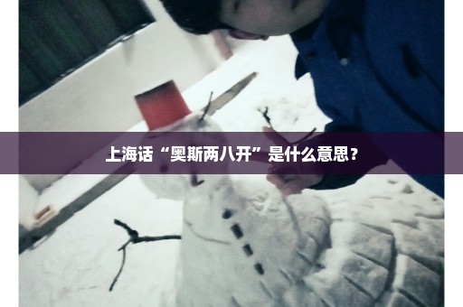 上海话“奥斯两八开”是什么意思？