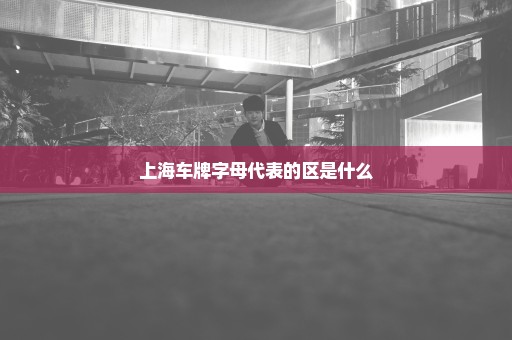 上海车牌字母代表的区是什么