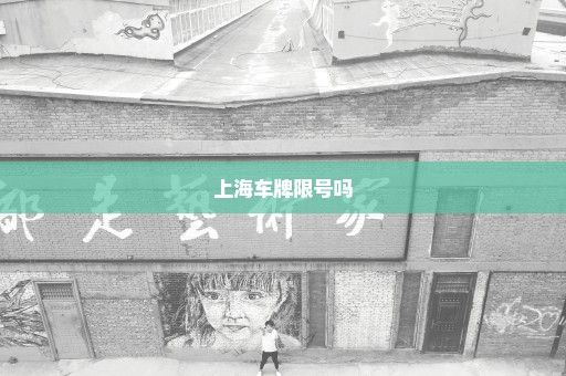 上海车牌限号吗