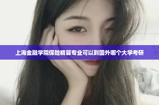 上海金融学院保险精算专业可以到国外哪个大学考研