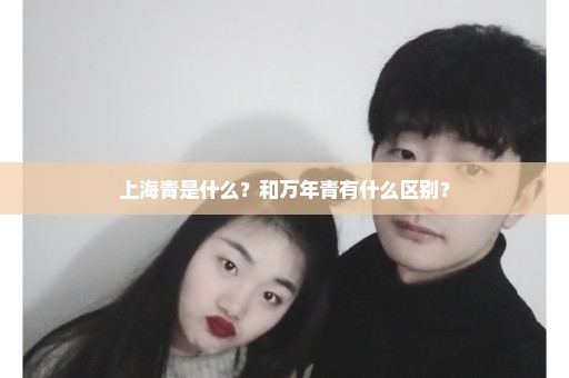 上海青是什么？和万年青有什么区别？