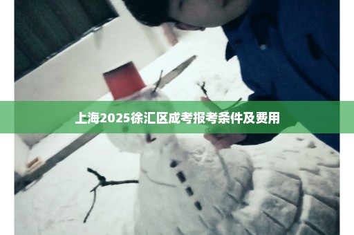 上海2025徐汇区成考报考条件及费用
