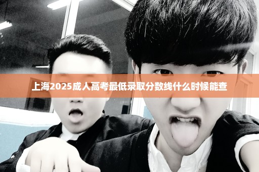 上海2025成人高考最低录取分数线什么时候能查