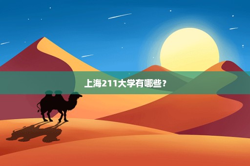 上海211大学有哪些？