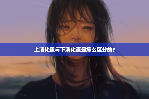 上消化道与下消化道是怎么区分的？