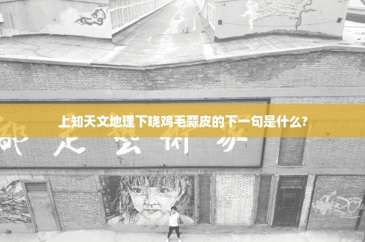 上知天文地理下晓鸡毛蒜皮的下一句是什么?