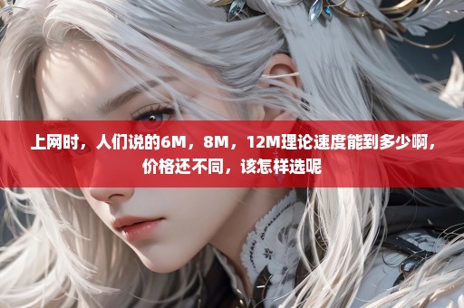 上网时，人们说的6M，8M，12M理论速度能到多少啊，价格还不同，该怎样选呢
