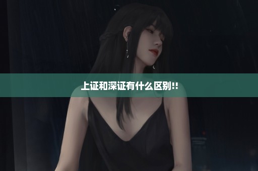 上证和深证有什么区别!!