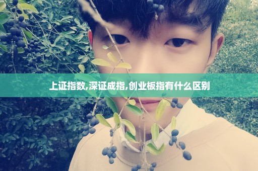 上证指数,深证成指,创业板指有什么区别