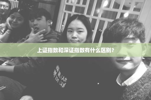 上证指数和深证指数有什么区别？