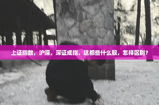 上证指数，沪深，深证成指，这都些什么股，怎样区别？