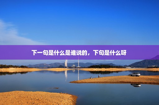 下一句是什么是谁说的，下句是什么呀 