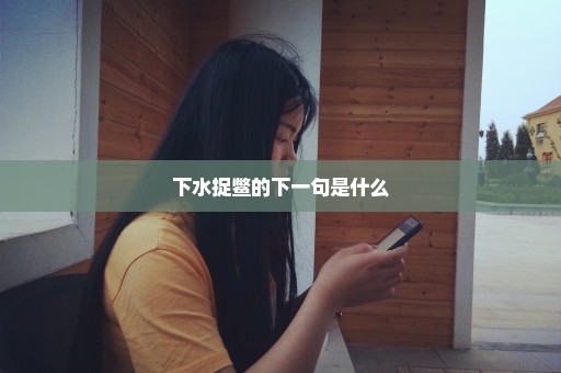 下水捉鳖的下一句是什么