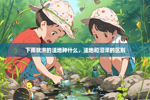 下雨就涝的洼地种什么，洼地和沼泽的区别