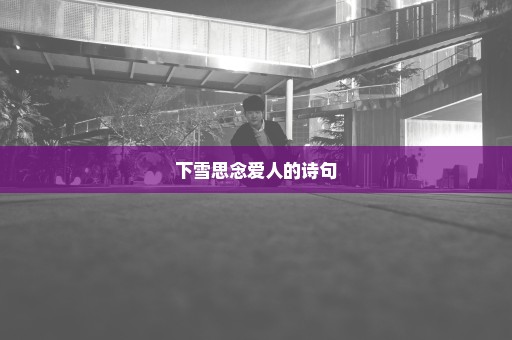 下雪思念爱人的诗句