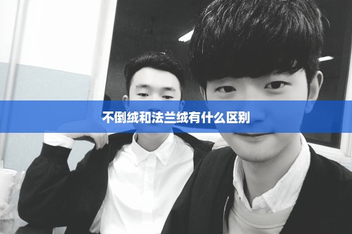 不倒绒和法兰绒有什么区别