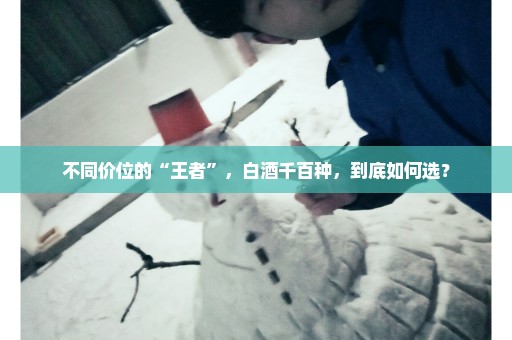不同价位的“王者”，白酒千百种，到底如何选？