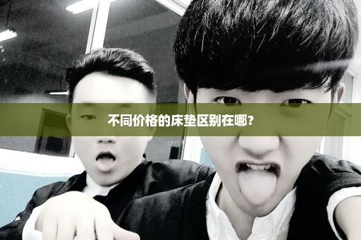 不同价格的床垫区别在哪？