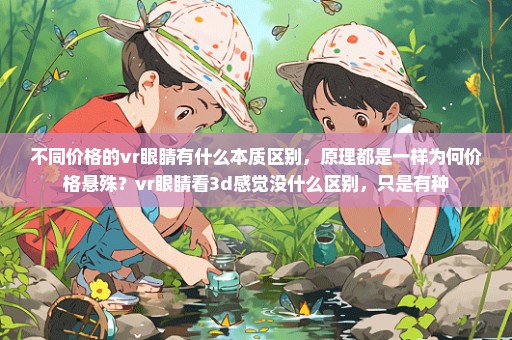 不同价格的vr眼睛有什么本质区别，原理都是一样为何价格悬殊？vr眼睛看3d感觉没什么区别，只是有种