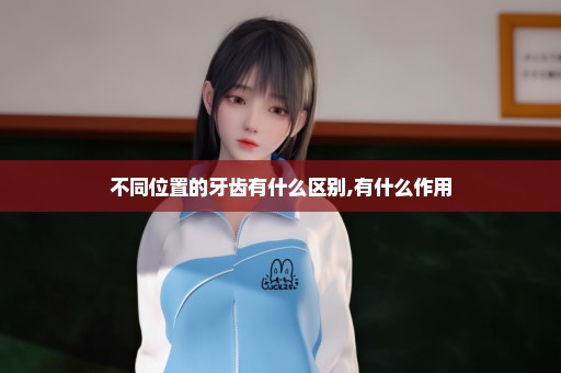 不同位置的牙齿有什么区别,有什么作用