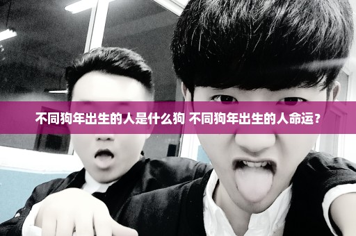 不同狗年出生的人是什么狗 不同狗年出生的人命运？